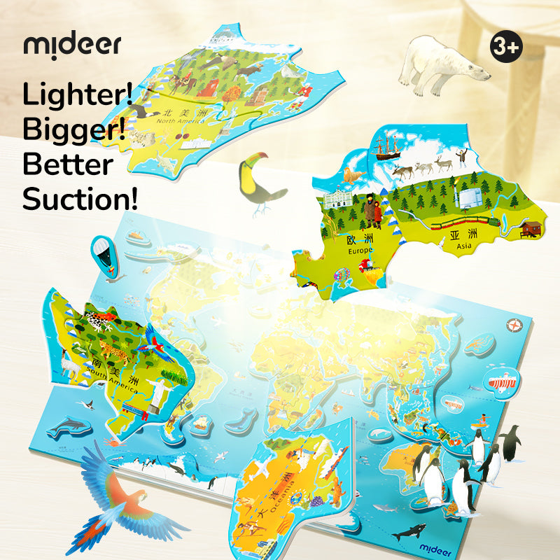 DIDELIS MAGNETINIS PASAULIO ŽEMĖLAPIS / DĖLIONĖ