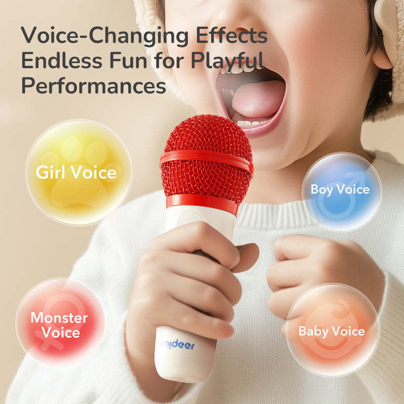 Let's Sing! Karaoke Set