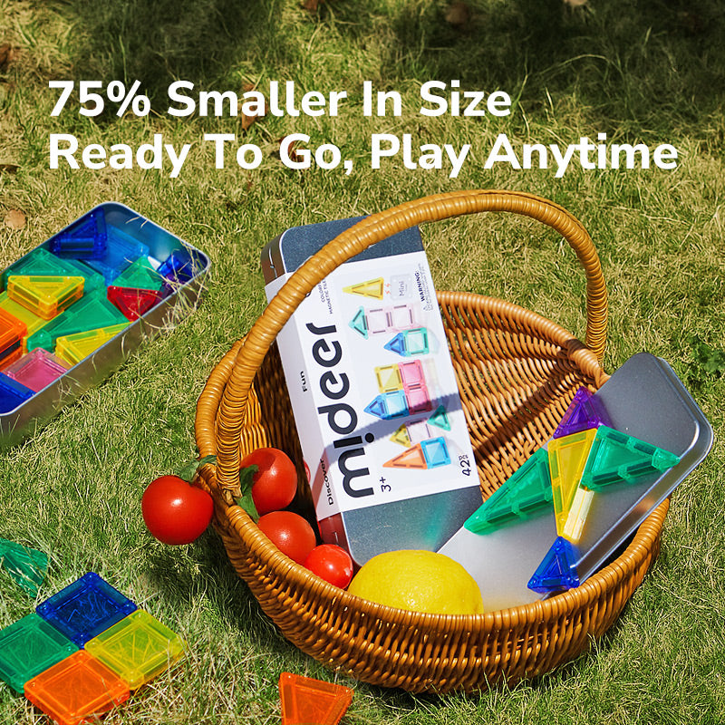 MINI MAGNETINIS KONSTRUKTORIUS METALINĖJE DĖŽUTĖJE