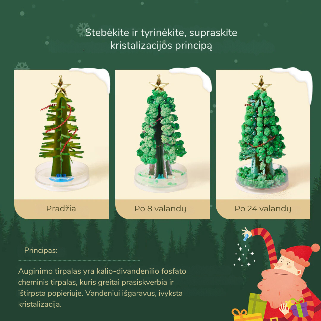Maģiska Ziemassvētku eglīte - Kristālu audzēšanas komplekts